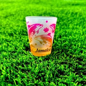 🐬🐬Jamaica souvenir Shot glasses (set of 4) 🐬🐬